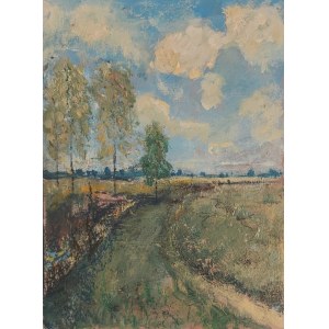 Krzysztof Gocek, Landscape