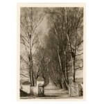 Bohdanow, Belarus - Avenue to the Manor. Atlas Publishing House, 1938 (479)