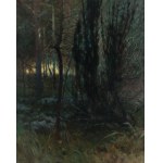 Apoloniusz Kędzierski (1861 Suchedniów - 1939 Warszawa), Gąszcz w lesie, 1897 r.