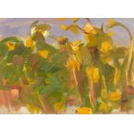 Wojciech Weiss (1875 Leorda na Bukowina - 1950 Krakow), Study of sunflowers, ca. 1900.