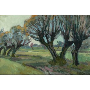 Stanisław Kamocki (1875 Warszawa - 1944 Zakopane), Wierzby