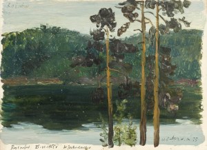 Włodzimierz Zakrzewski (1916 Petersburg - 1992 Warszawa), Rożnów, 1955 r.