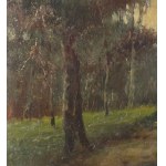 FIRMA NON IDENTIFICATA, Paesaggio boscoso