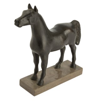 Roman Solski (ur. 1957), Koń