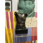 Igor Mitoraj, Cuirasse II