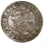 Lithuanian grosz, 1555, Vilnius; the ends of the legends read L...
