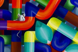Joanna Bojar-Antoniuk (ur. 1967), 