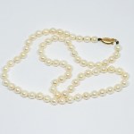 Gold Akoya pearl necklace