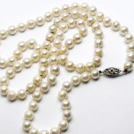 Gold Akoya Pearls Necklace with 1980 Valuation