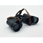 Delmar Paris binoculars in case