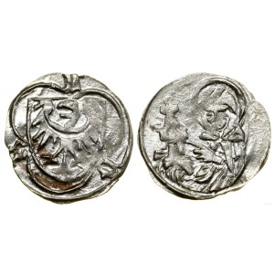 Śląsk, halerz, (po 1423-1428, 1429-1436), Brzeg