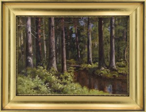 Ludwik WERNER (1900-1961), Strumień w lesie