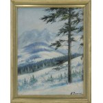 Andrzej ŻYWICKI (1928-1970), View of Giewont in winter