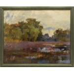 Ludwik GRABOWSKI (1884-1982), Wetlands