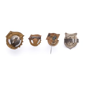 Set of 4 scout badges