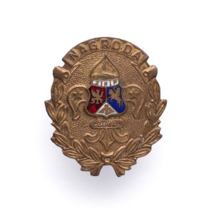 ZNP Scouting Award Badge.