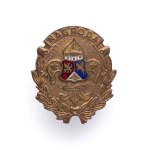 ZNP Scouting Award Badge.