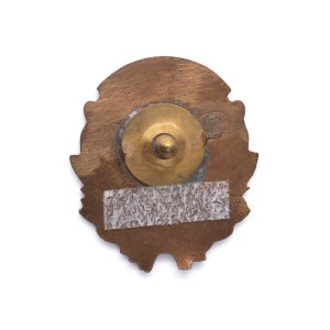 ZNP Scouting Award Badge.