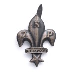 Junior Scout rank badge ZNP.