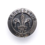 ZNP Scouting Organizational Badge/ ZNP Friendship Badge.