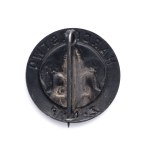 ZNP Scouting Organizational Badge/ ZNP Friendship Badge.