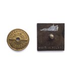 Badge Polish Instructors