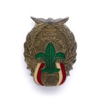 Twentieth Anniversary Badge of the Pomeranian Troop 1972