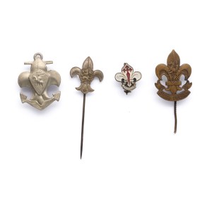 Set of scout lilies Belarus