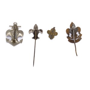 Set of scout lilies Belarus