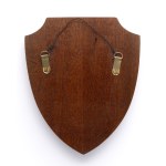 RINGRAPH JUBILEOUS HARCERSTWA ZLOT W SPALE 1910 - 1935 with an image of a scout lily.