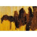 Sophia Sawaryn, Kilim "Sunshine Composition"