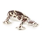 Henryk Jędrasiak, Zakłady Porcelany Stołowej "Walbrzych" in Walbrzych, "Salamandra".