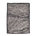 Andrzej Rajch, Graces AR-36