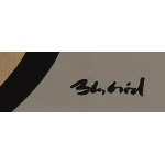 Marcin Gregorczuk Blubird (geb. 1977, Siedlce), Stille, 2026