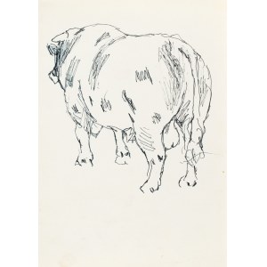 Ludwik MACIĄG (1920-2007), byk ukazany z tyłu