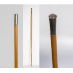 Swedish cane factory, early 20th century, Attribution cane, exclusive, circa 1910.