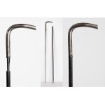 German,unknown maker, 19th/20th century, Walking/defensive cane, circa 1900.