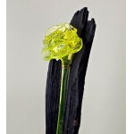 Decorative form - Uranium glass rose on a background of black oak