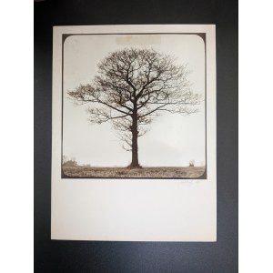 KONRAD K. POLLESCH. PHOTOGRAPH IV [19]80 PHOTO SIGNED AND DATED BY THE ARTIST.