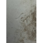 DEKORATIVNÍ PORCELÁNOVÝ DISK S VŮDCOVOU PODOBIZNOU