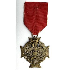 DISTINTIVO COMMEMORATIVO - INSORTI D'ARMI 1918 - 1919