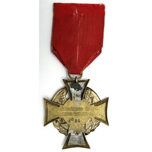 DISTINTIVO COMMEMORATIVO - INSORTI D'ARMI 1918 - 1919