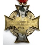 DISTINTIVO COMMEMORATIVO - INSORTI D'ARMI 1918 - 1919