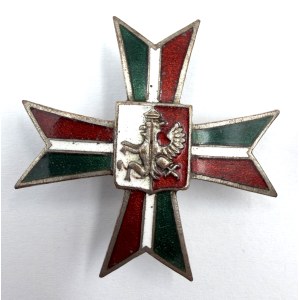 SET DI DISTINTIVI REGGIMENTALI - COPIE
