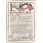 SET OF DOCUMENTS AFTER SOLDIER A. K. N.O. W. - COMBAT UNIT CHROBRY I - PLATOON SERGEANT ZBIGNIEW KWAŚNIEWSKI "TWARDY" - AK PERIOD