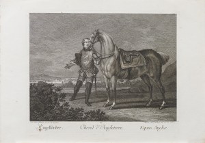 Johann Elias Ridinger (1698-1767), Koń angielski, z serii: Konie według ras, wyd. Augsburg, ok. 1770 r.