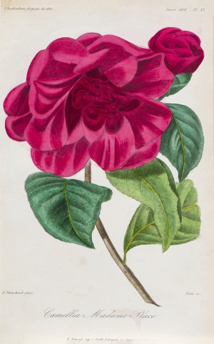 Hérincq François