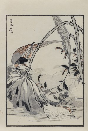Kōno Bairei (1844-1895), Biała pliszka, rdest i lotos, wyd. Ōkura Magobei, Tokio/Japonia, 1881 r.