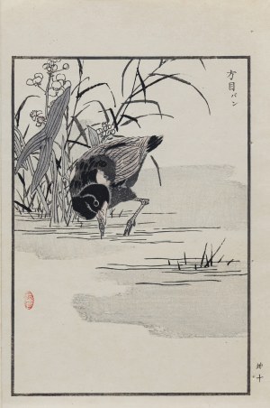 Kōno Bairei (1844-1895), Kurka wodna i żabieniec babka wodna, wyd. Ōkura Magobei, Tokio/Japonia, 1881 r.