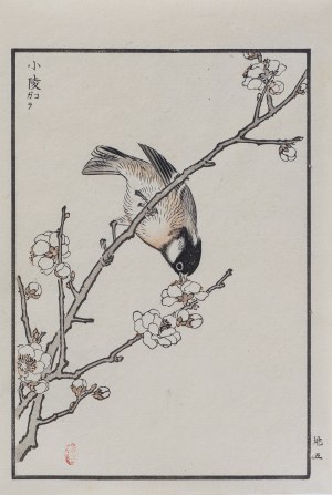 Kōno Bairei (1844-1895), Czarnogłówka, wyd. Ōkura Magobei, Tokio/Japonia, 1881 r.